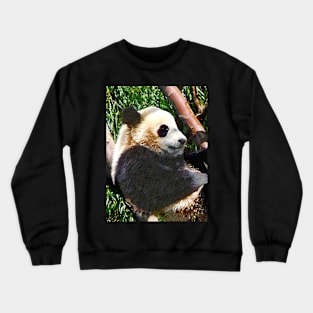 Panda in Tree Crewneck Sweatshirt